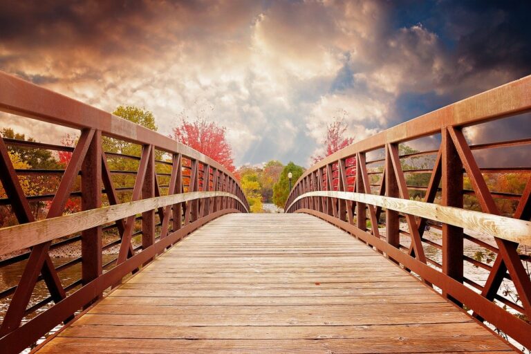 bridge, nature, fall-1385938.jpg